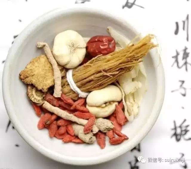 養生